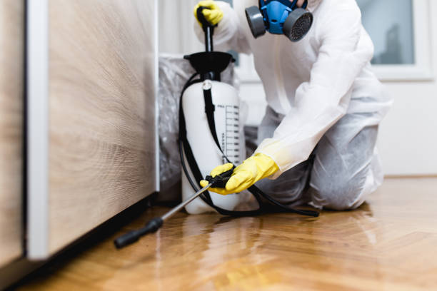 Best Pest Removal Services  in Sugar City, ID