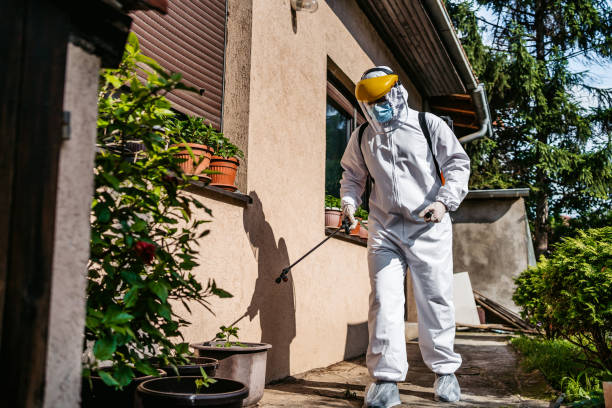 Best Flea Control Services  in Sugar City, ID