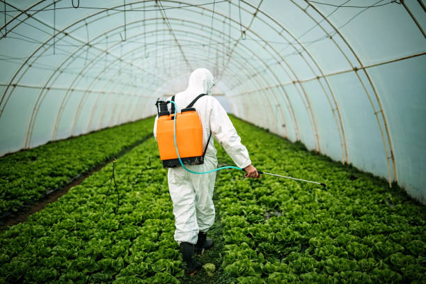 Trusted Sugar City, ID Pest Control Experts