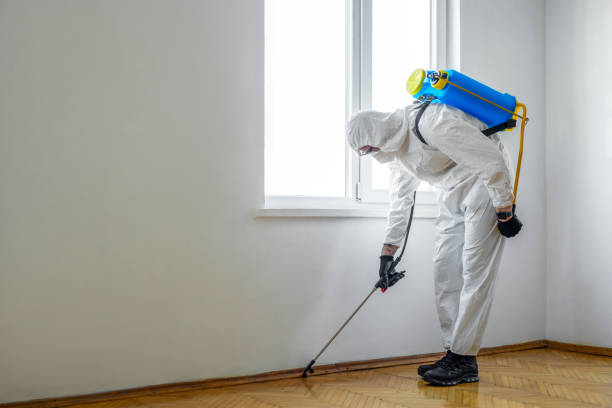 Best Best Pest Control Companies  in Sugar City, ID