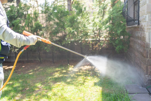 Best Best Pest Control Companies  in Sugar City, ID