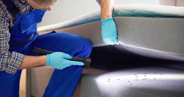 Best Affordable Pest Control Services  in Sugar City, ID