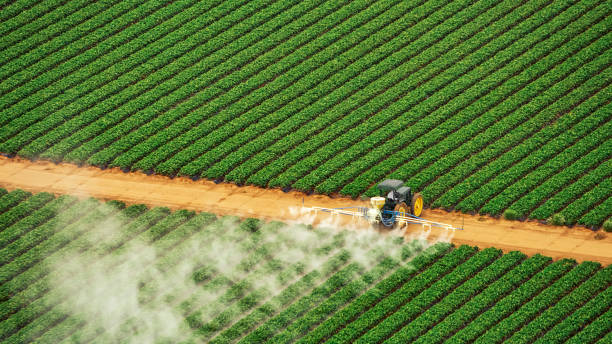 Best Commercial Pest Control Services  in Sugar City, ID