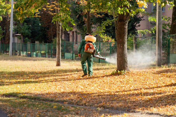 Best Pest Control for Restaurants  in Sugar City, ID