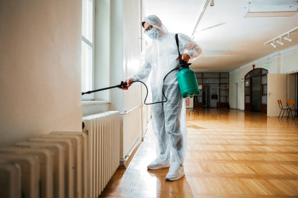 Best Mosquito Control Services  in Sugar City, ID